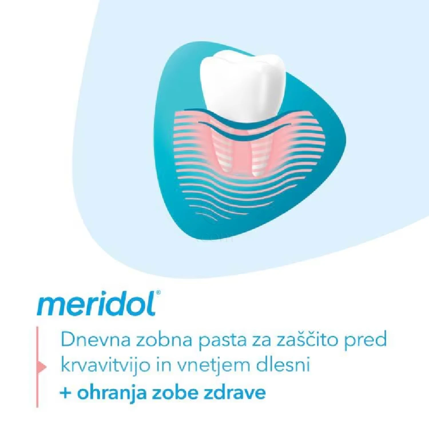 Meridol Gum Protection, zobna pasta za zaščito dlesni (75 ml)